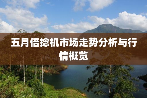 五月倍捻机市场走势分析与行情概览
