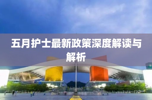 五月护士最新政策深度解读与解析