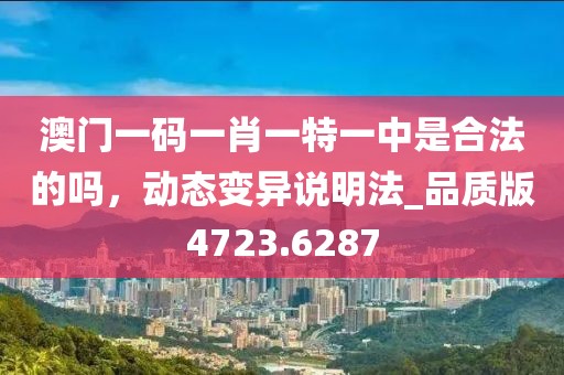 澳门一码一肖一特一中是合法的吗，动态变异说明法_品质版4723.6287