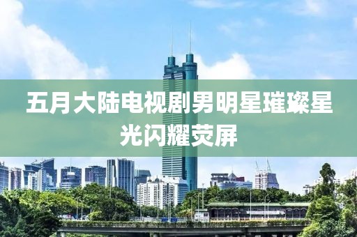 五月大陆电视剧男明星璀璨星光闪耀荧屏
