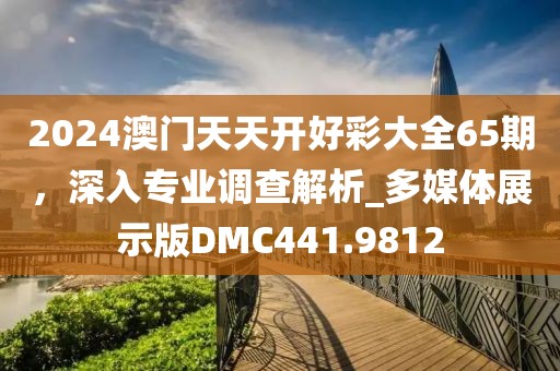 2024澳门天天开好彩大全65期，深入专业调查解析_多媒体展示版DMC441.9812