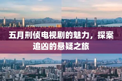 五月刑侦电视剧的魅力，探案追凶的悬疑之旅