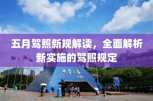 五月驾照新规解读，全面解析新实施的驾照规定