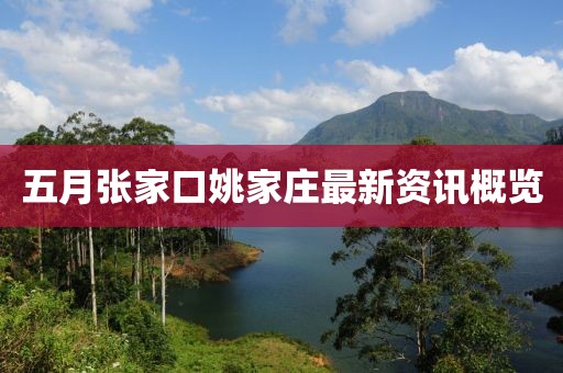 五月张家口姚家庄最新资讯概览