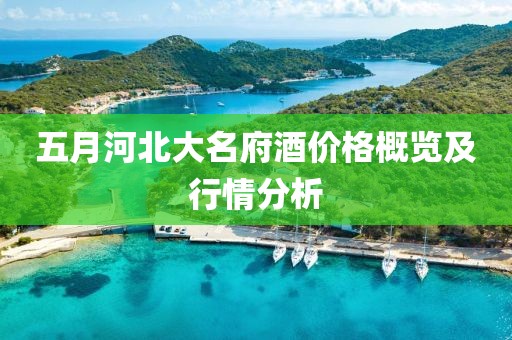 五月河北大名府酒价格概览及行情分析