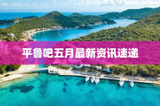 平鲁吧五月最新资讯速递