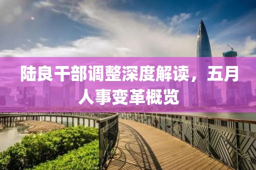 陆良干部调整深度解读，五月人事变革概览