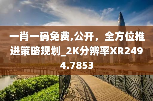 一肖一码免费,公开，全方位推进策略规划_2K分辨率XR2494.7853
