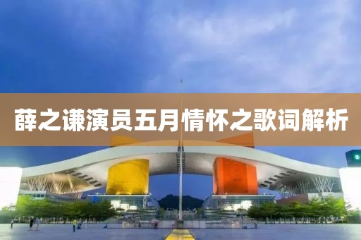 薛之谦演员五月情怀之歌词解析