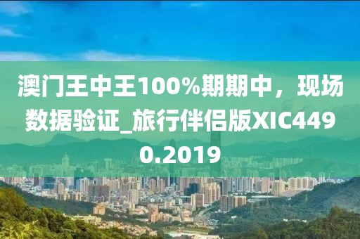 澳门王中王100%期期中，现场数据验证_旅行伴侣版XIC4490.2019