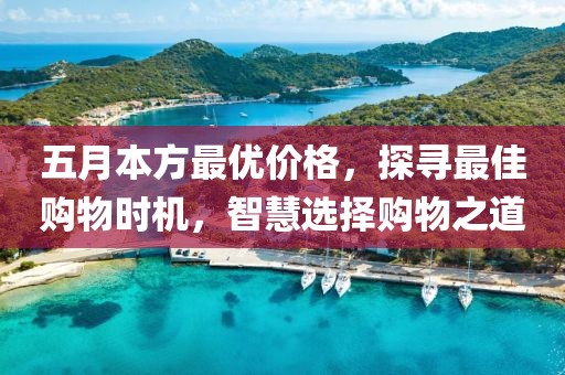 五月本方最优价格，探寻最佳购物时机，智慧选择购物之道