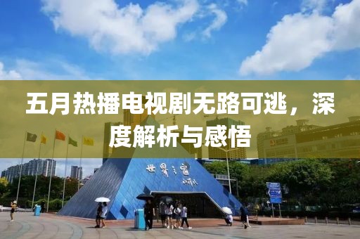 五月热播电视剧无路可逃，深度解析与感悟