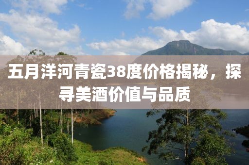 五月洋河青瓷38度价格揭秘，探寻美酒价值与品质