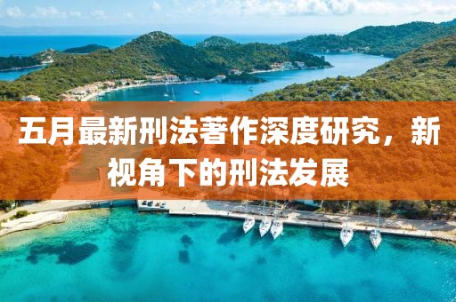 五月最新刑法著作深度研究，新视角下的刑法发展