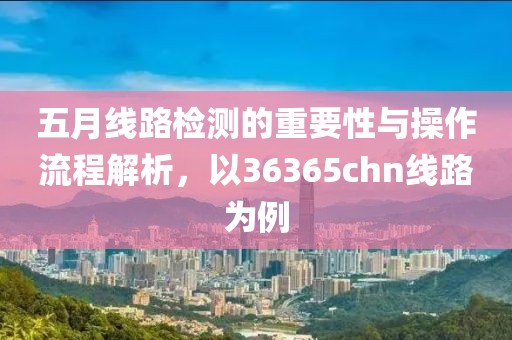 五月线路检测的重要性与操作流程解析，以36365chn线路为例
