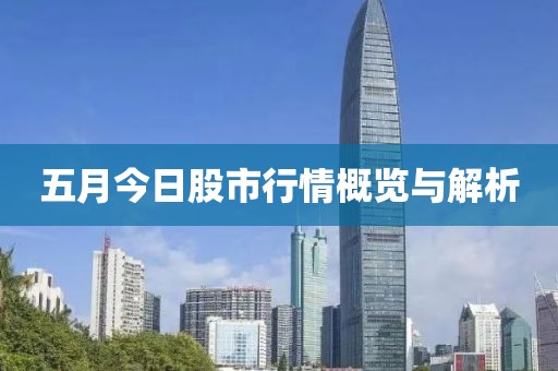 五月今日股市行情概览与解析