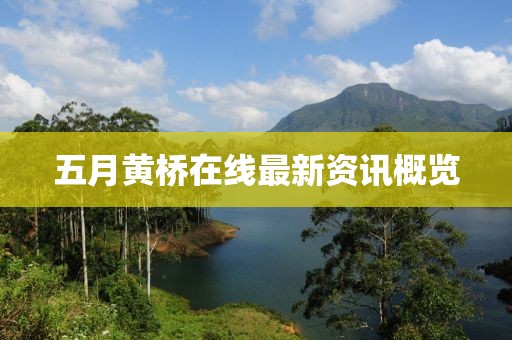 五月黄桥在线最新资讯概览