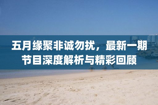 五月缘聚非诚勿扰，最新一期节目深度解析与精彩回顾