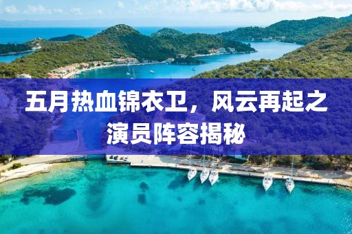 五月热血锦衣卫，风云再起之演员阵容揭秘