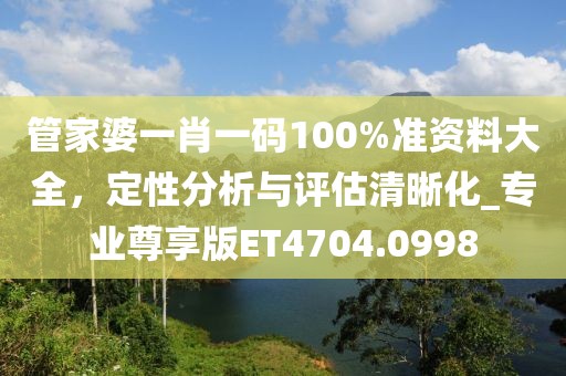 管家婆一肖一码100%准资料大全，定性分析与评估清晰化_专业尊享版ET4704.0998