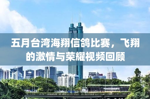 五月台湾海翔信鸽比赛，飞翔的激情与荣耀视频回顾
