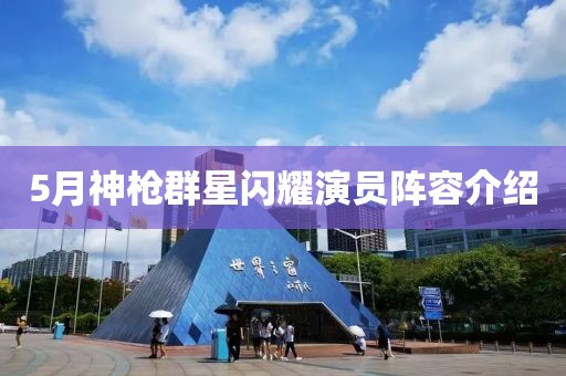 5月神枪群星闪耀演员阵容介绍