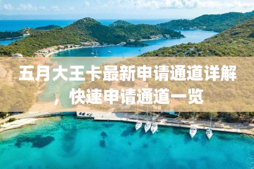 五月大王卡最新申请通道详解，快速申请通道一览