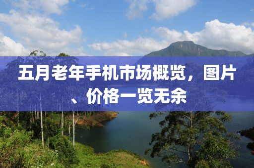 五月老年手机市场概览，图片、价格一览无余
