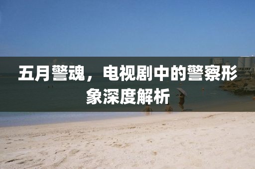 五月警魂，电视剧中的警察形象深度解析