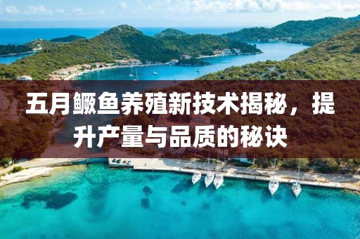 五月鳜鱼养殖新技术揭秘，提升产量与品质的秘诀