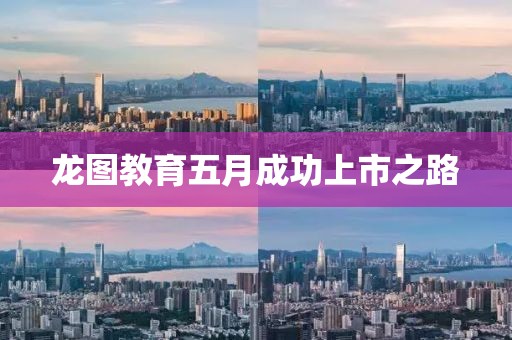 龙图教育五月成功上市之路