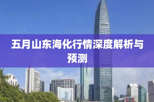 五月山东海化行情深度解析与预测