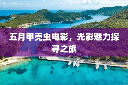 五月甲壳虫电影，光影魅力探寻之旅