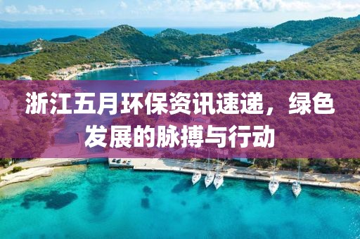 浙江五月环保资讯速递，绿色发展的脉搏与行动
