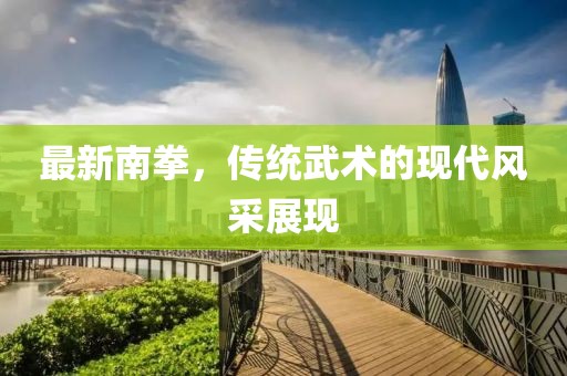 最新南拳，传统武术的现代风采展现