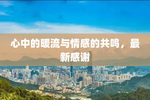 心中的暖流与情感的共鸣，最新感谢