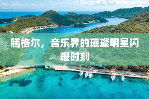 腾格尔，音乐界的璀璨明星闪耀时刻