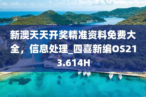 新澳天天开奖精准资料免费大全，信息处理_四喜新编OS213.614H