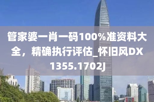 管家婆一肖一码100%准资料大全，精确执行评估_怀旧风DX1355.1702J