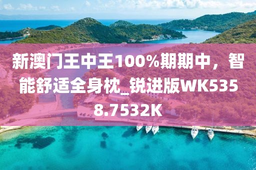 新澳门王中王100%期期中，智能舒适全身枕_锐进版WK5358.7532K