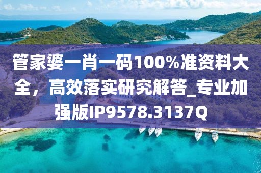 管家婆一肖一码100%准资料大全，高效落实研究解答_专业加强版IP9578.3137Q