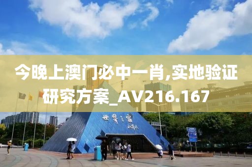 今晚上澳门必中一肖,实地验证研究方案_AV216.167