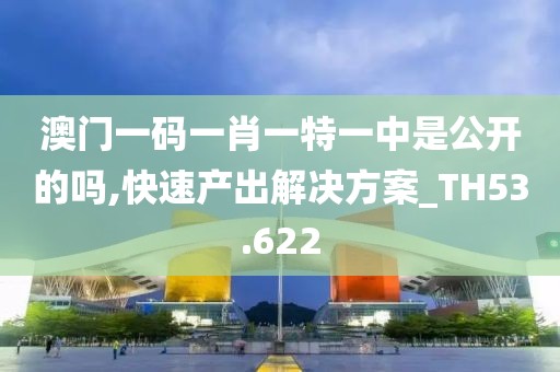 澳门一码一肖一特一中是公开的吗,快速产出解决方案_TH53.622