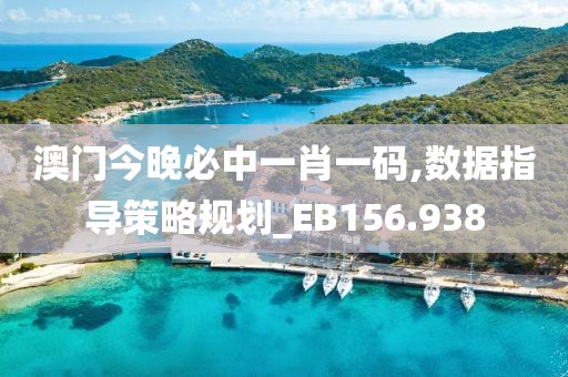 澳门今晚必中一肖一码,数据指导策略规划_EB156.938