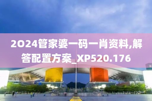2O24管家婆一码一肖资料,解答配置方案_XP520.176