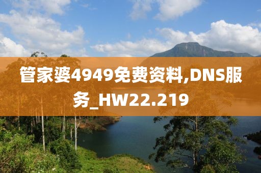 管家婆4949免费资料,DNS服务_HW22.219