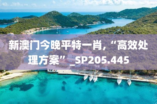 新澳门今晚平特一肖,“高效处理方案”_SP205.445