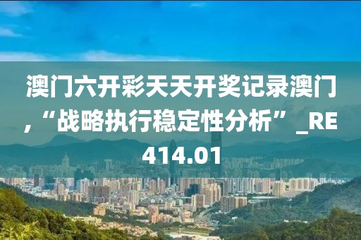 澳门六开彩天天开奖记录澳门,“战略执行稳定性分析”_RE414.01