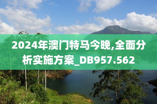 2024年澳门特马今晚,全面分析实施方案_DB957.562
