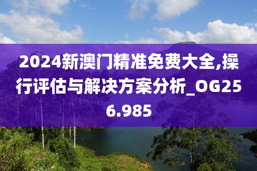 2024新澳门精准免费大全,操行评估与解决方案分析_OG256.985